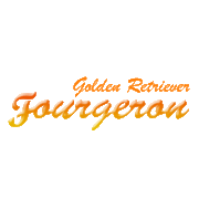(c) Goldenfourgeron.com